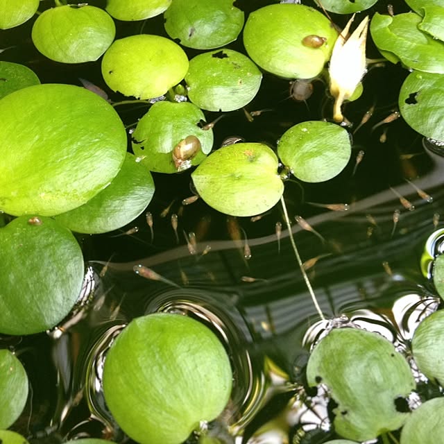 yumiさんの実例写真