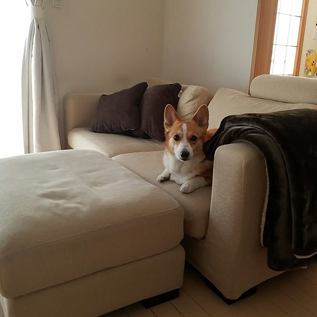 korisuさんの実例写真