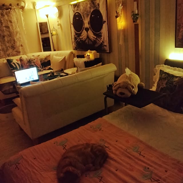 runaさんの部屋
