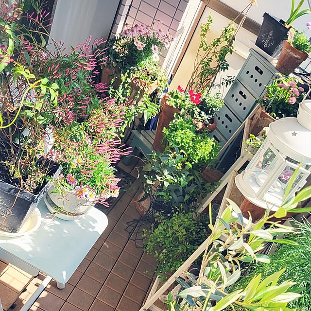 berryberryさんの部屋