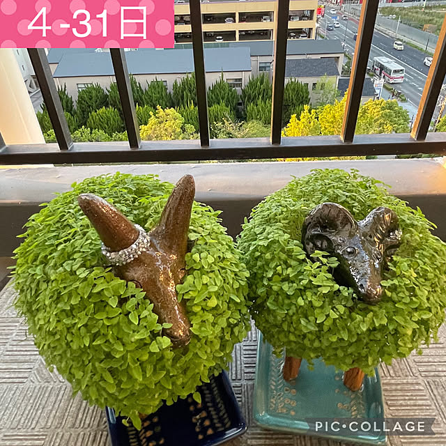 aureaさんの実例写真
