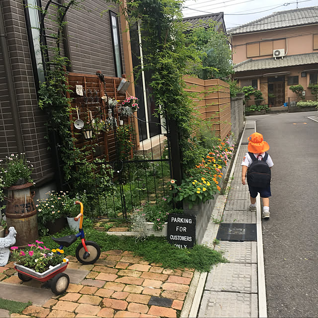 実例写真