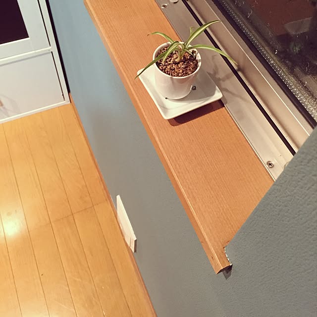 takeさんの実例写真