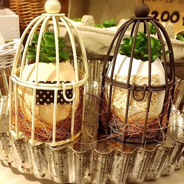 coraruさんの実例写真