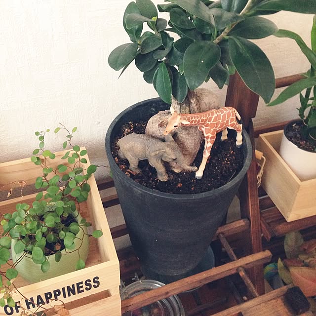 mirigoさんの実例写真