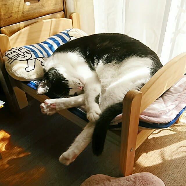 Mooさんの実例写真