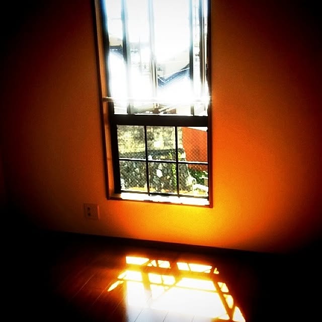 壁/天井のインテリア実例 - 2012-08-31 02:18:01