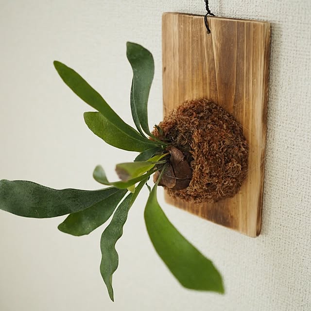 taeraさんの部屋