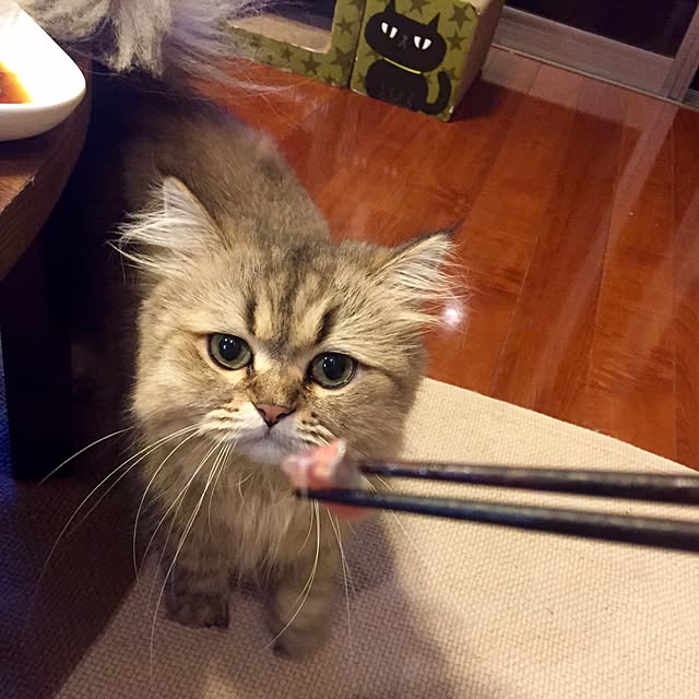 butachanさんの実例写真
