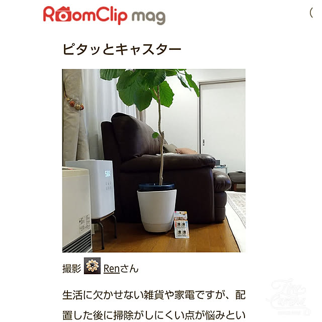 Renさんの実例写真