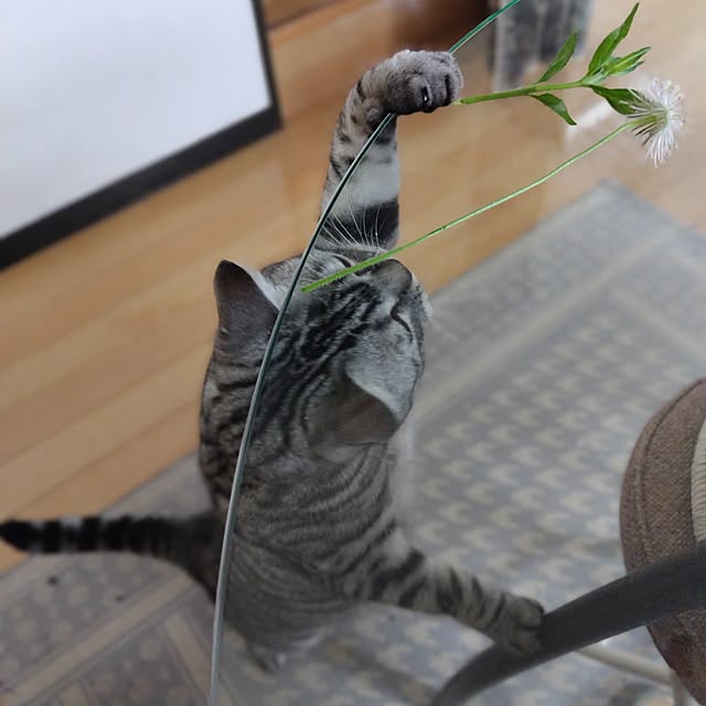 hiro3さんの部屋