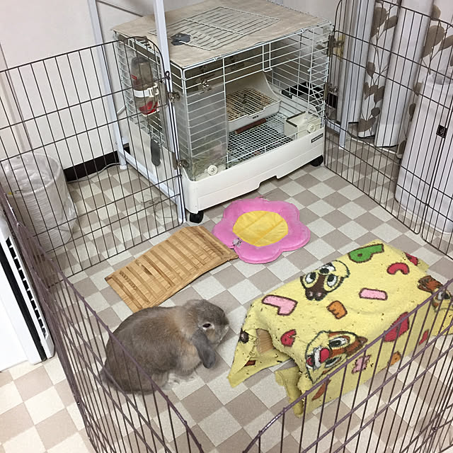 mimitanさんの実例写真