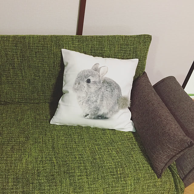 Shioriさんの実例写真