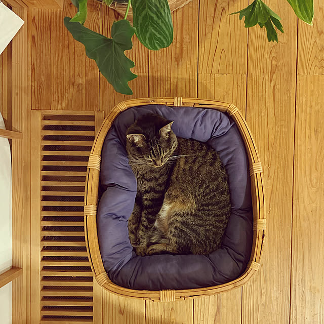 onsix777さんの実例写真