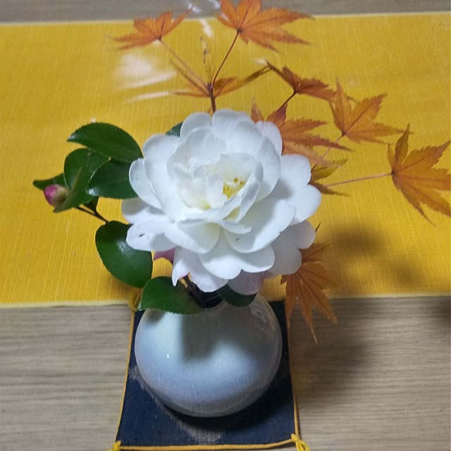 Yoshietanka3492さんの実例写真