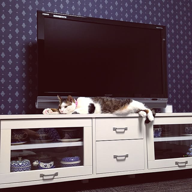 sachiさんの実例写真