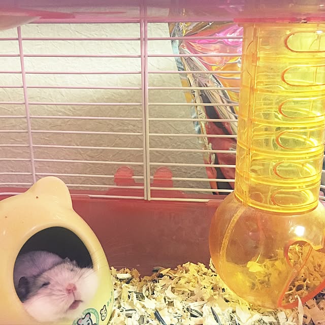 mikaさんの実例写真