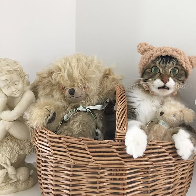 yuchiさんの実例写真