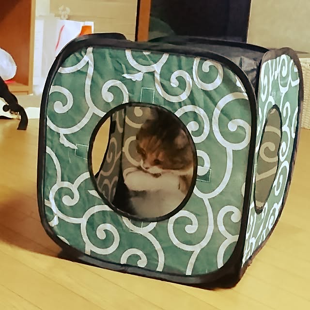 yukieさんの実例写真