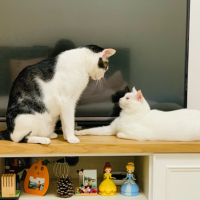 pcu110さんの実例写真