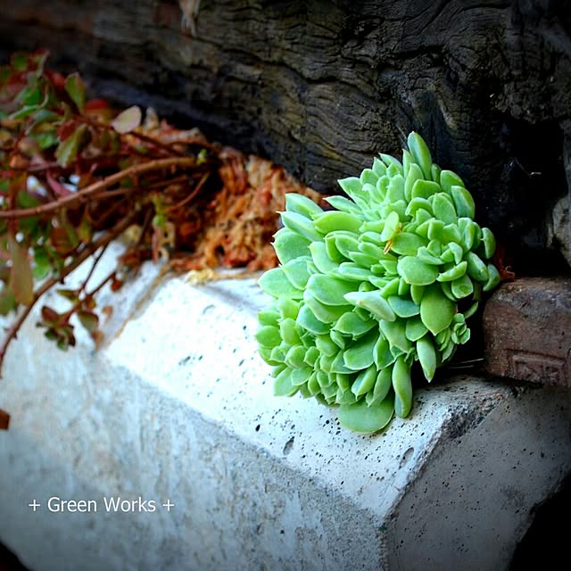 GreenWorksさんの実例写真