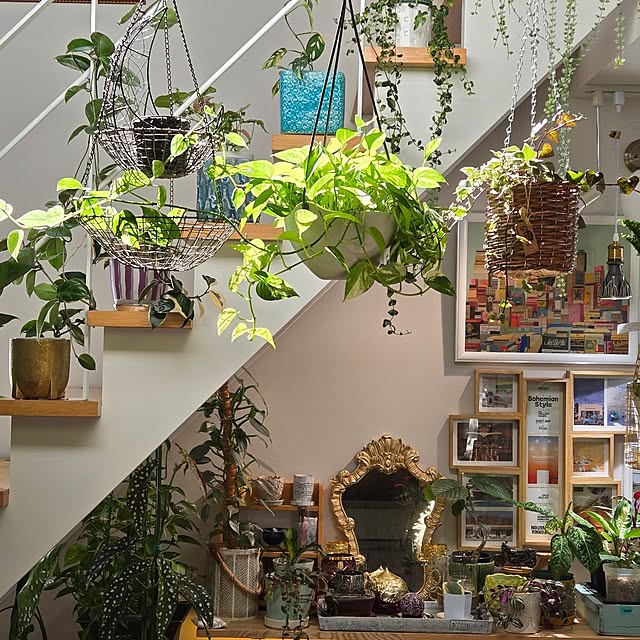 nonbiri_house_さんの部屋