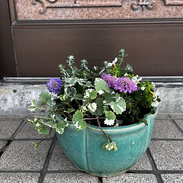 eshinobumさんの実例写真