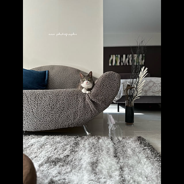 An.さんの実例写真