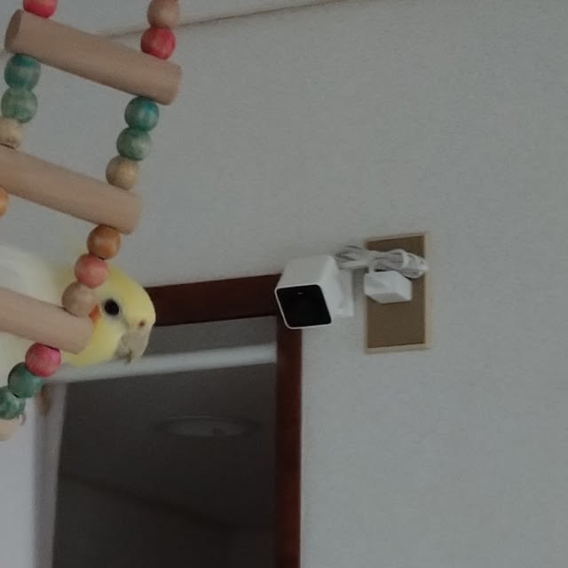 toratanさんの実例写真