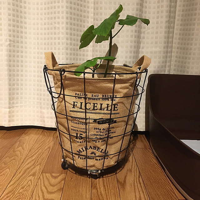 kinokoさんの実例写真