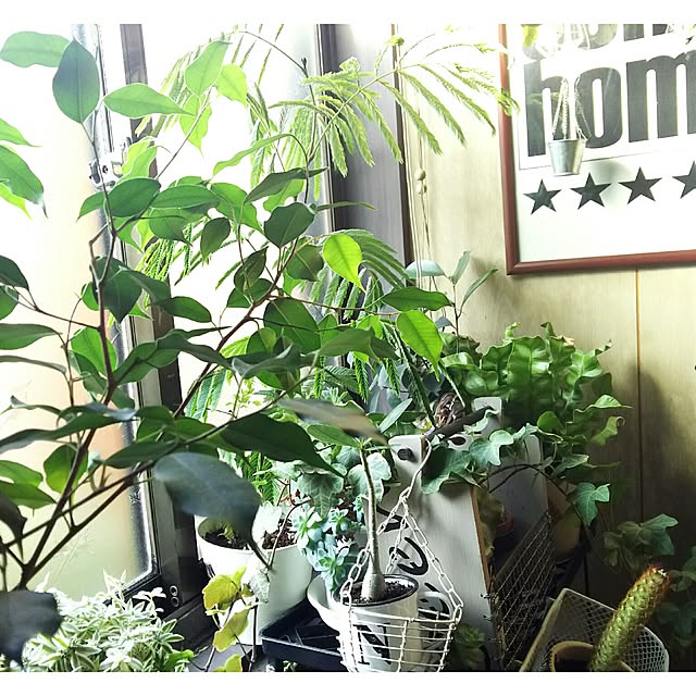 tomokaさんの実例写真