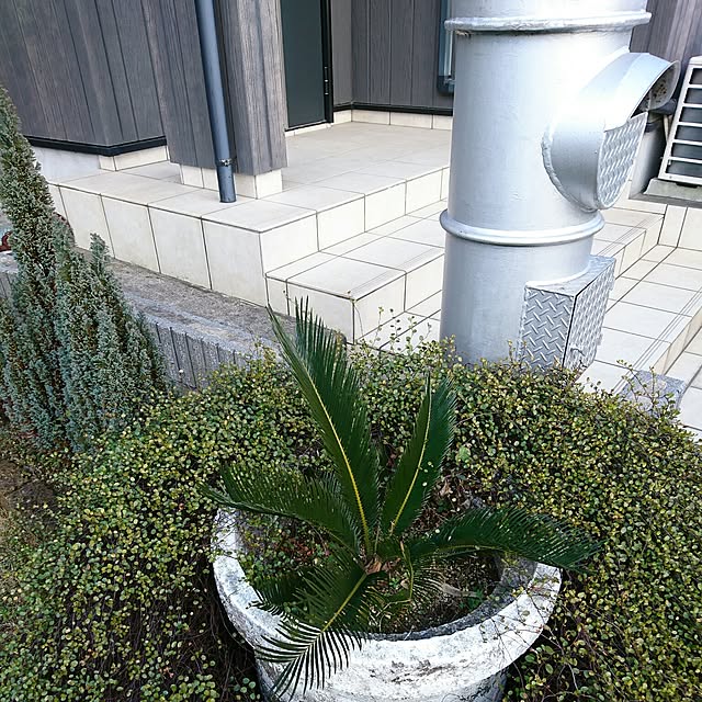 TOUEMONさんの実例写真