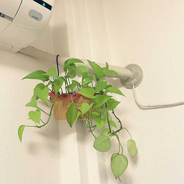 エアコン/観葉植物/ダイソー/壁/100均...などのインテリア実例 - 2020-06-17 19:06:39