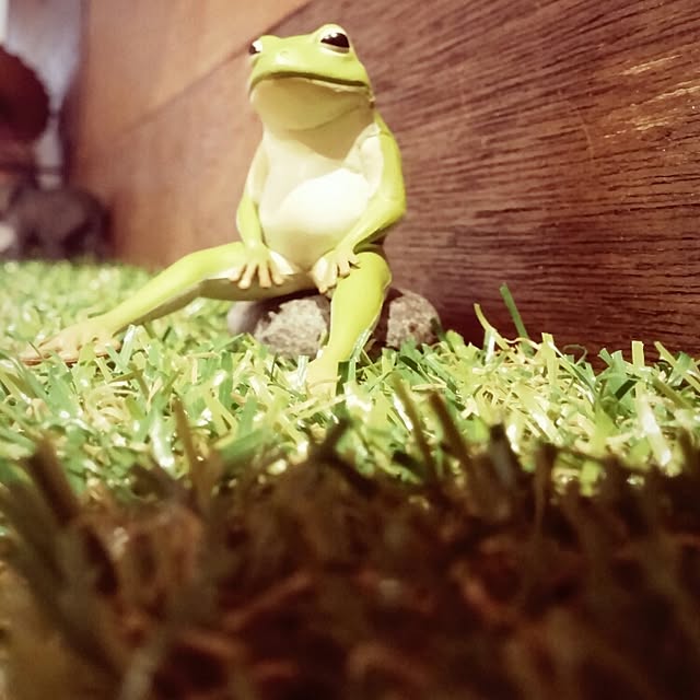 meyさんの実例写真