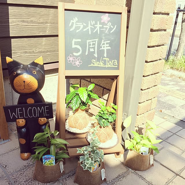 Kanaさんの実例写真