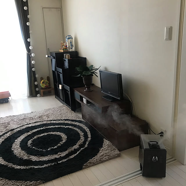 izuboさんの実例写真