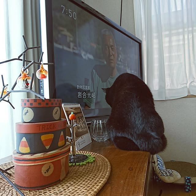 naru2014さんの実例写真