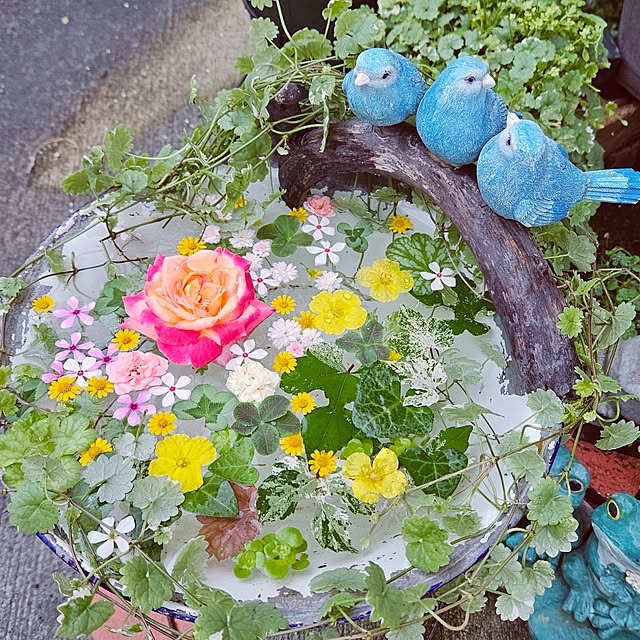 mocomocoさんの実例写真