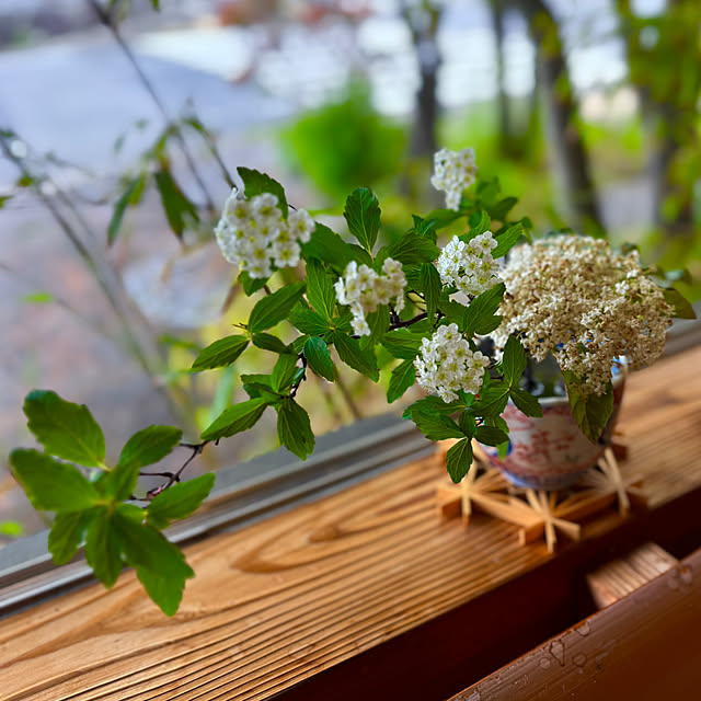 tututu0204さんの実例写真