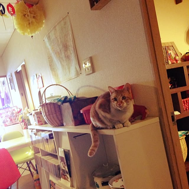 chocolinaさんの実例写真