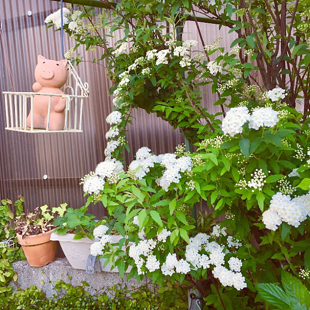 takakoさんの実例写真