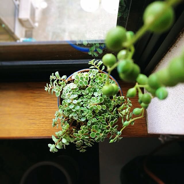 L.さんの実例写真