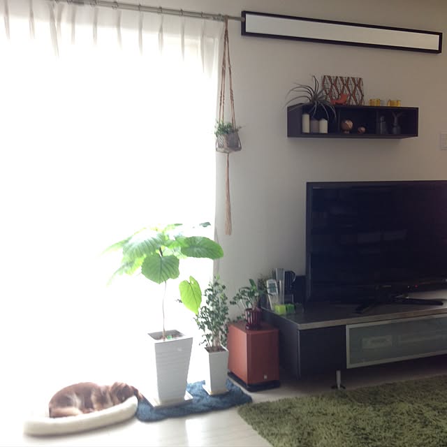 rikakoさんの実例写真
