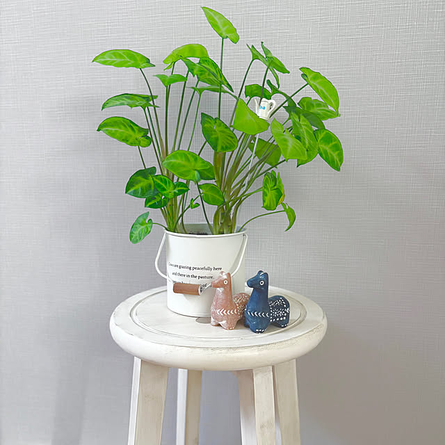 miminkoさんの部屋