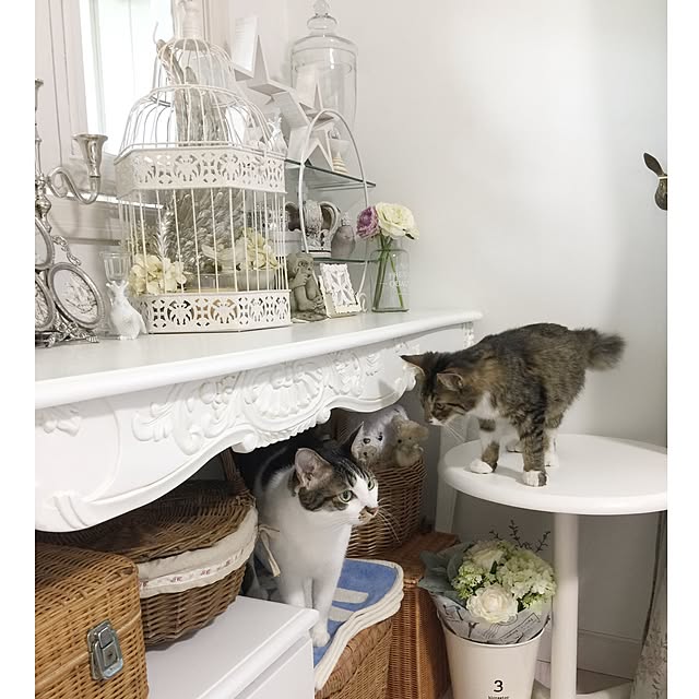 yuchiさんの実例写真