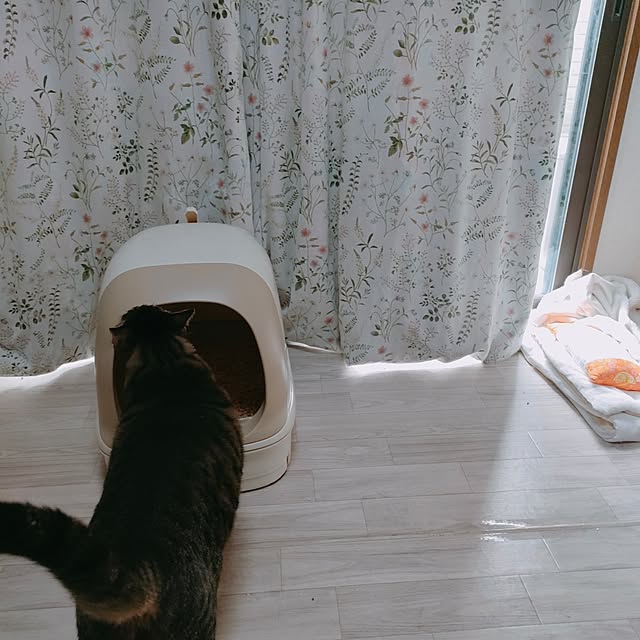 mori_6_12さんの部屋