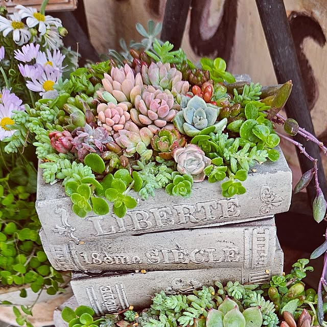 mocomocoさんの部屋