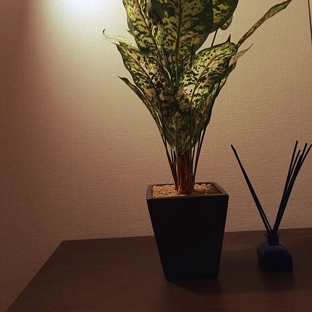 riku16さんの実例写真