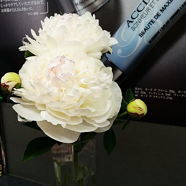 jojiさんの実例写真