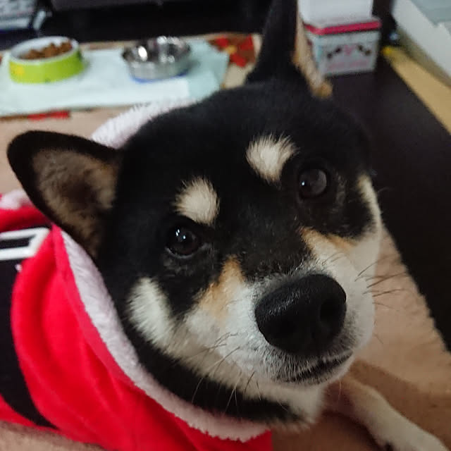 masamasaさんの実例写真